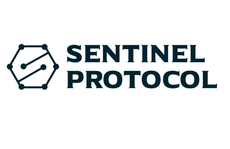 What Is Sentinel Protocol?
