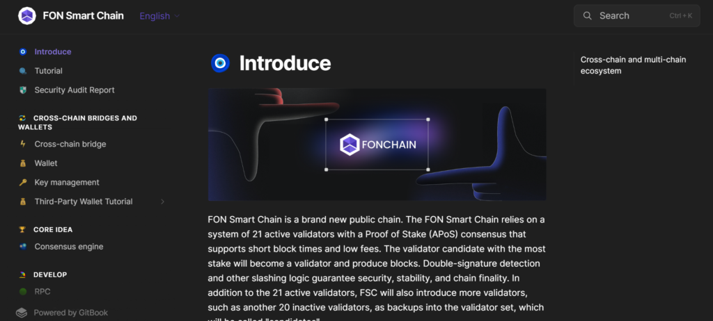 What Is FONSmartChain?