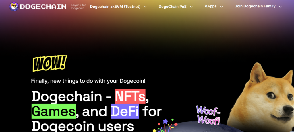 What Is Dogechain?