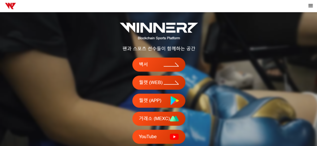 What Is Winnerz?